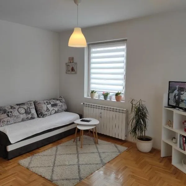 Stari Cerak, hotel en Žarkovo