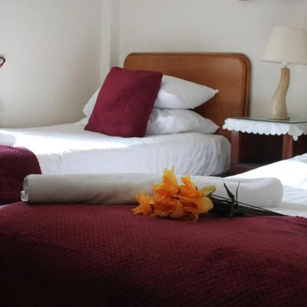 Fennessy's Hotel, hotel en Clonmel