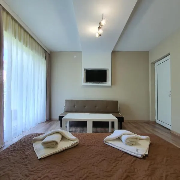 Дамяновата къща, Hotel in Saparewa Banja