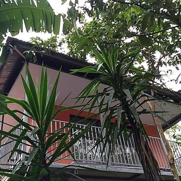 Hospedaje Rio Celeste Katira, Habitación privada、San Rafaelのホテル