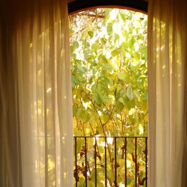 Hotel Torres, khách sạn ở Arbúcies