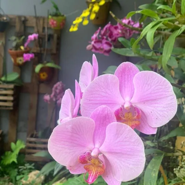 Casa das Flores, hotell sihtkohas Chapada dos Guimarães