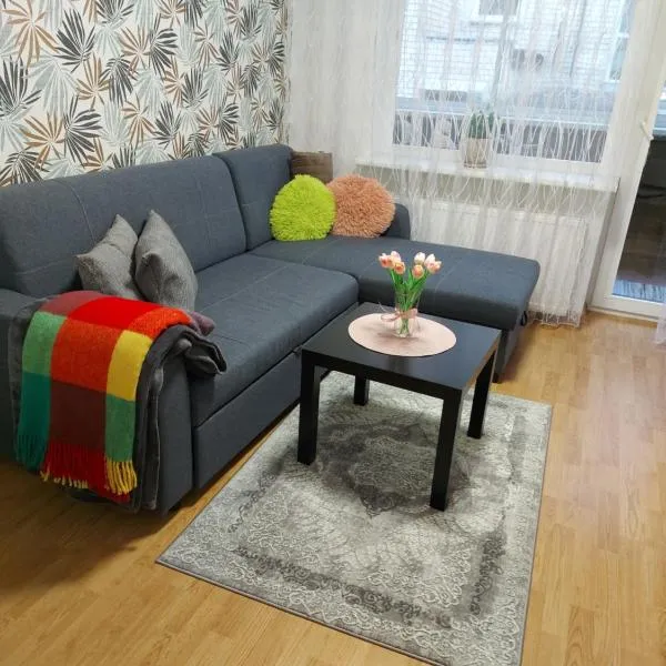 Apartamentai „Kaip namuose“, hotel in Druskininkai