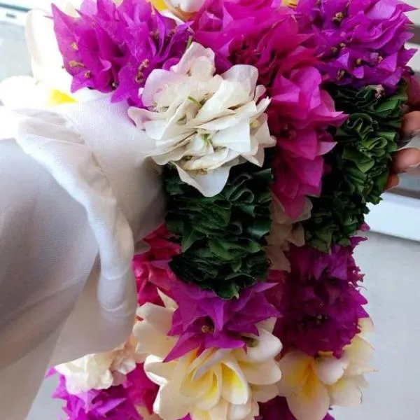 Nid douillet en petite terre au pied du lac Dziani, hotel v Dzaoudzi