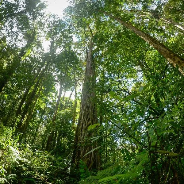 Talamanca Nature Reserve，位于Rivas的酒店