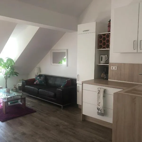 Old Bridge View Apartment, hotell sihtkohas Heidelberg