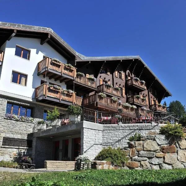 Hotel Aletsch, hotel in Bettmeralp