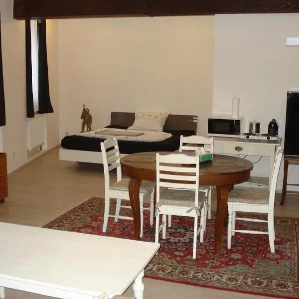 Appartement 45 qm mit Bad an der Mosel - Nähe Koblenz, hotel v destinaci Dieblich