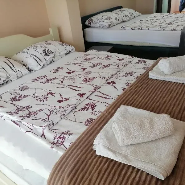 Apartman Solomonovic, hotel en Golubac