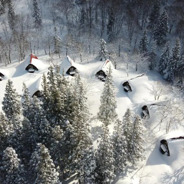 Nabekura Kougen Mori-No-Ie, hotel i Iiyama