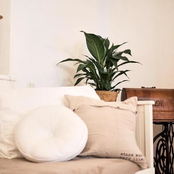 Schlaf.Cabinet im Bio.Weingut (Lesehof seit 1424), hotel in Krems an der Donau