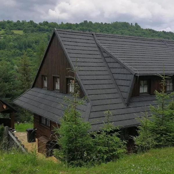 Drevenica Pod Vŕškom, hotel v destinaci Terchová
