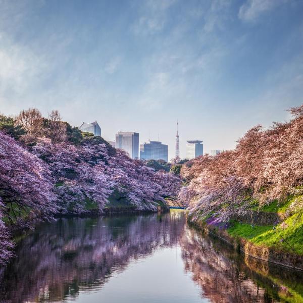 Four Seasons Hotel Tokyo at Otemachi