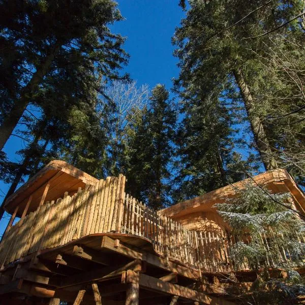 Domaine de l'Authentique Cabanes dans les arbres, hotel in Fournet-Blancheroche