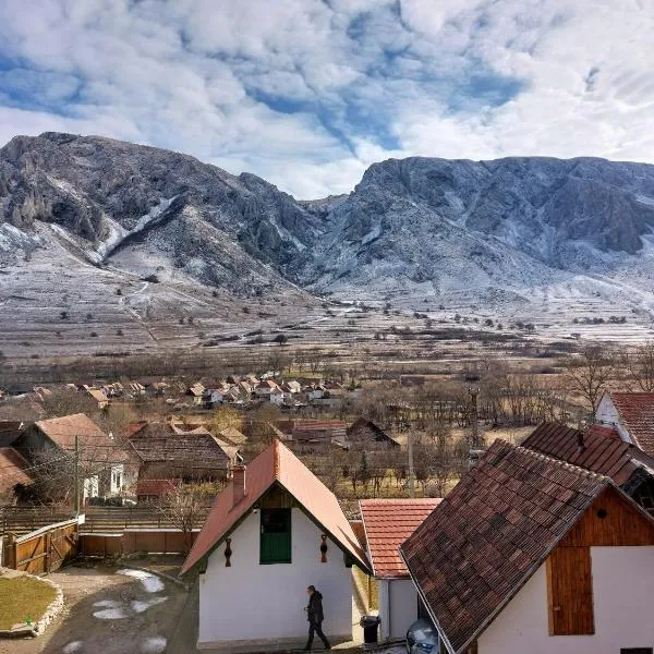Félix ház, hotel in Rimetea
