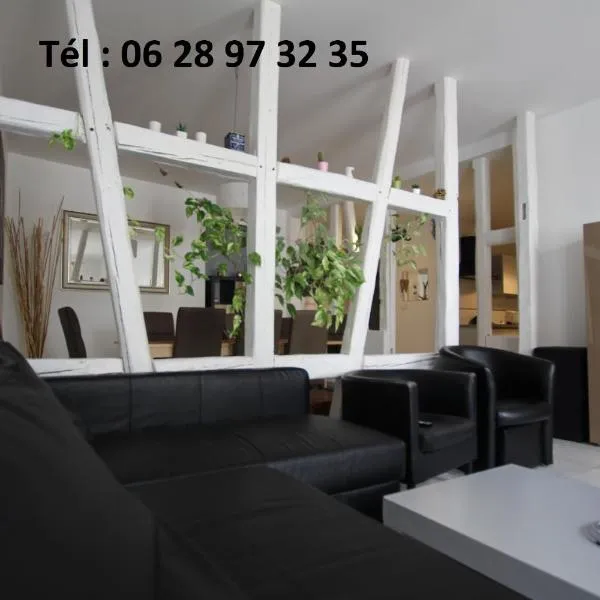 Gite hyper centre 10 pers, hotel in Colmar