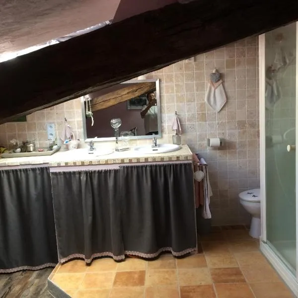 l'Ancienne Forge, hotel in Aigonnay