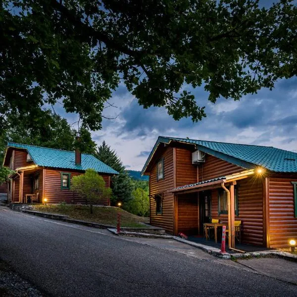 Chalet Likouresi Village, hotel in Karpenisi