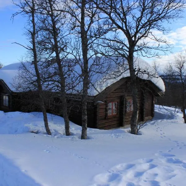 Cozy cabin at Beitostølen with sauna, hot tub & fireplace, hotel in Beitostøl