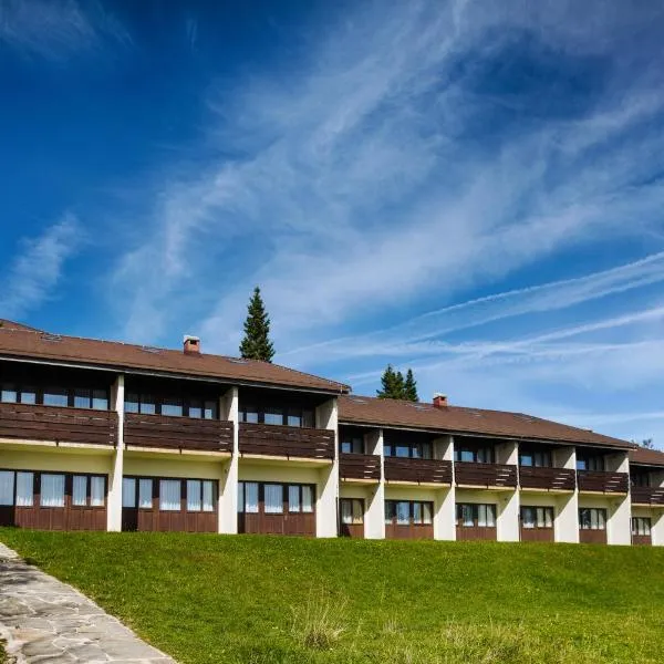 Hotel Brinje, hotell sihtkohas Zreče