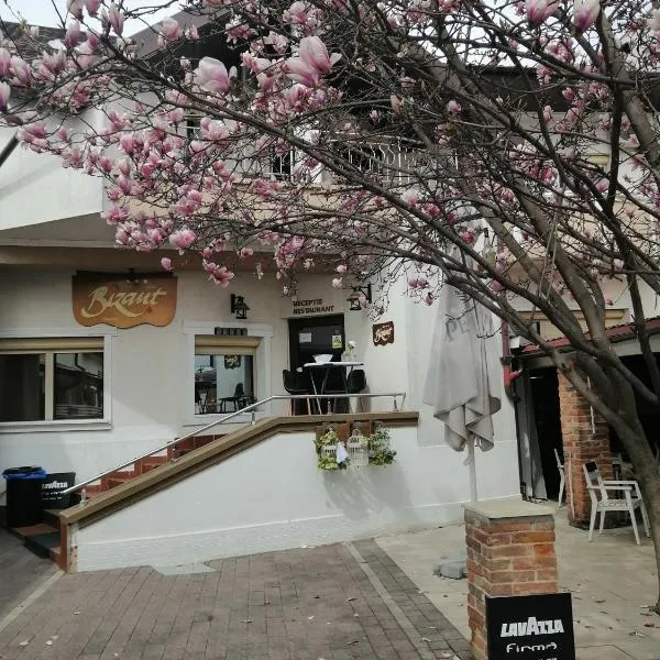 Bizant Boutique, hotel v destinaci Bacău