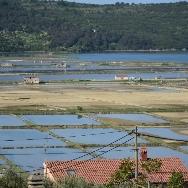 Apartment Burja with Olive Grove & Salt Pans View, khách sạn ở Portorož