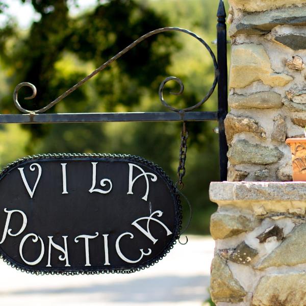 Villa Pontica, Sofie
