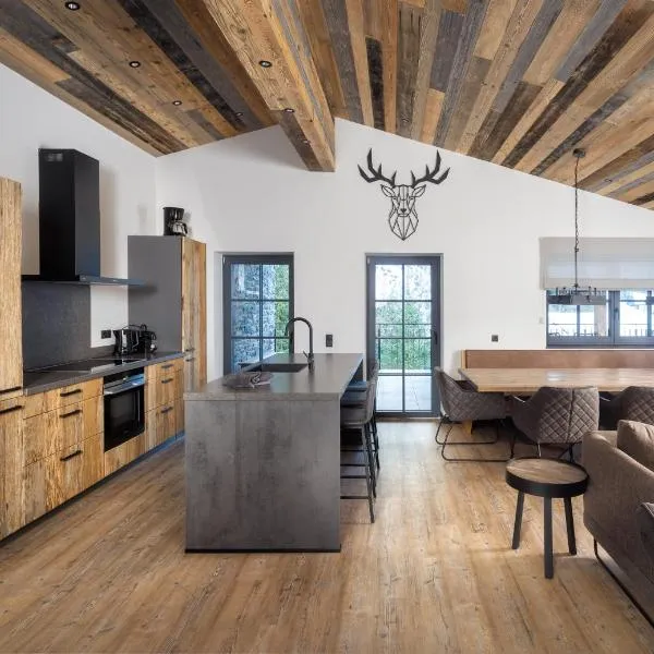 Nova Gosta Montafon NEU by Pferd auf Wolke,位于加舒恩的酒店