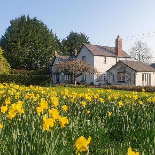 Lower House B&B Adforton