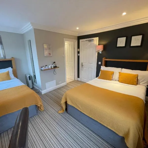 Shandon Hotel, hotel in Richmond upon Thames