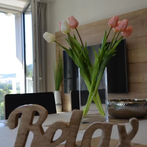 Visit sauna Klinovec, hotel in Loučná pod Klínovcem