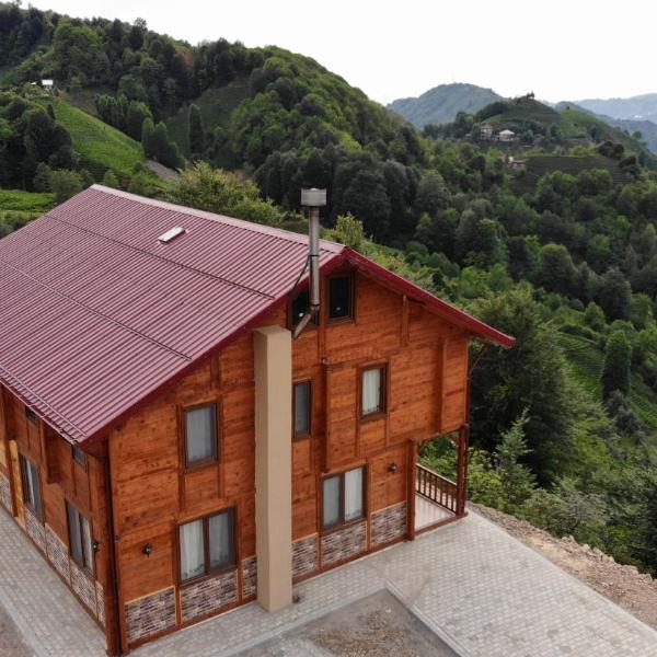 VERA KÖYEVİ - Wooden Villa - Çayeli