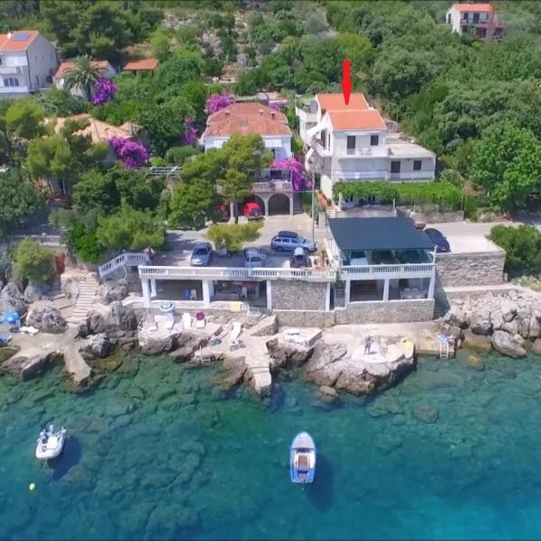 Apartments Miovic