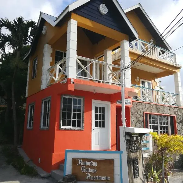 Buttercup Cottage Apartments, hotell sihtkohas Arnos Vale