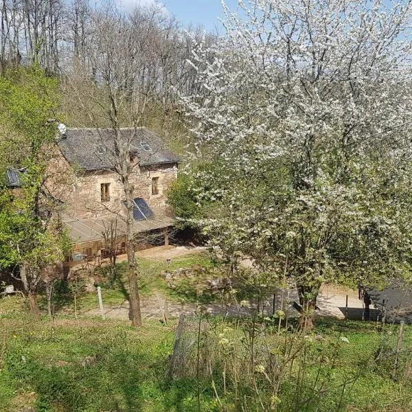 maison isolée dans les vignes et les bois, Hotel in Valady