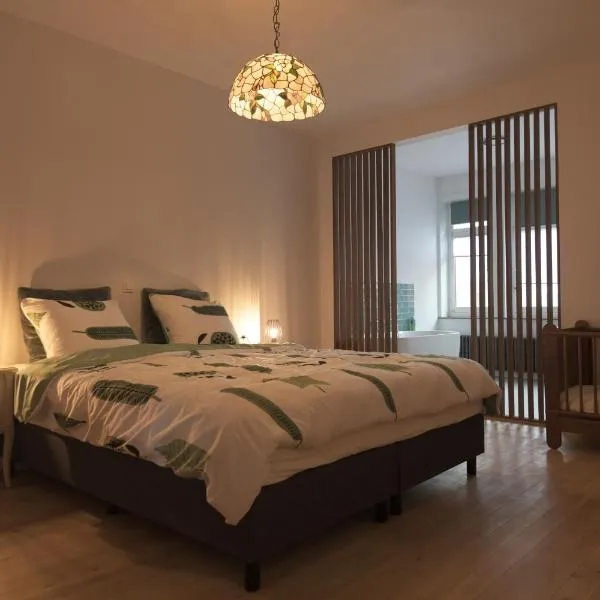 Gastenkamers huYze K, Hotel in Zottegem