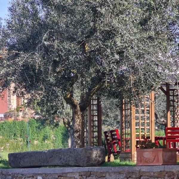 Agriturismo Il Pintello