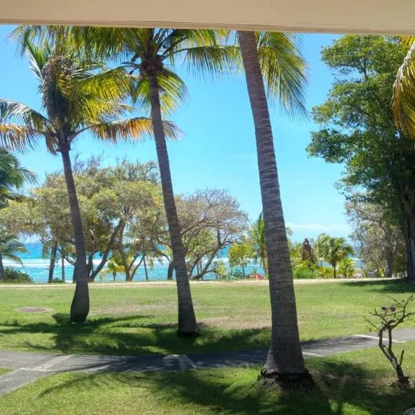 Grand studio 4 pers superbe vue mer et cocotiers dans Village Vacances Sainte-Anne plage à - 30 m, hotell i Sainte-Anne
