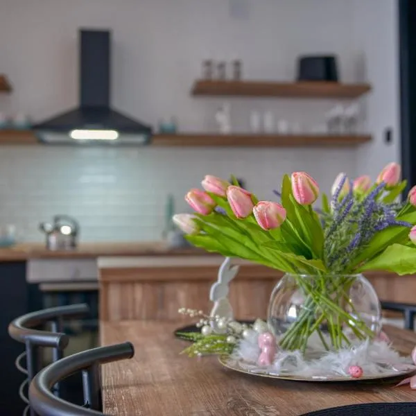 Dream Apartment Vršac, ξενοδοχείο σε Vršac