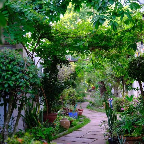 Vila Basi, khách sạn ở Nguyệt Hạng