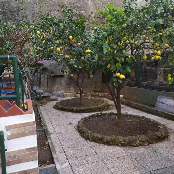 oparavisegenova, hotel in Genoa