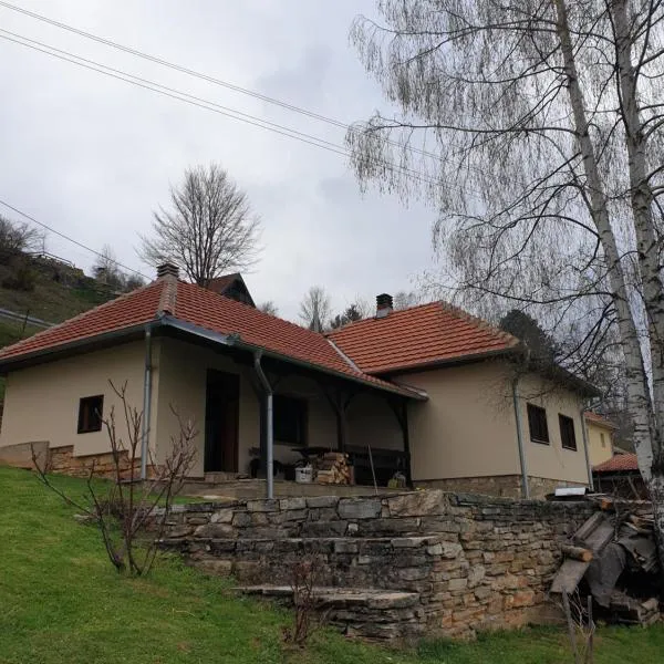 Kuća za odmor - Martić, Rudno, Golija, hotel in Kraljevo