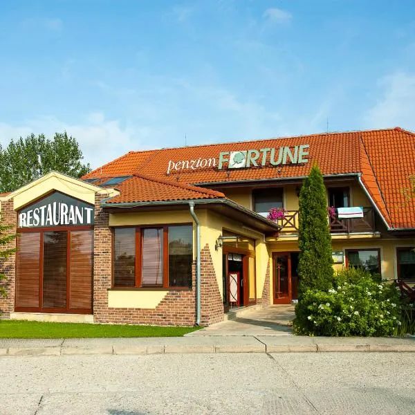 Penzion Fortune, hotel v destinaci Dunajská Streda