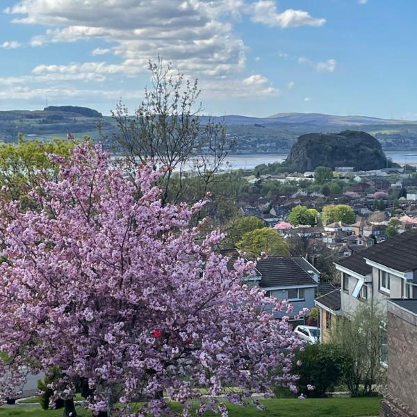 Dumbarton With A View