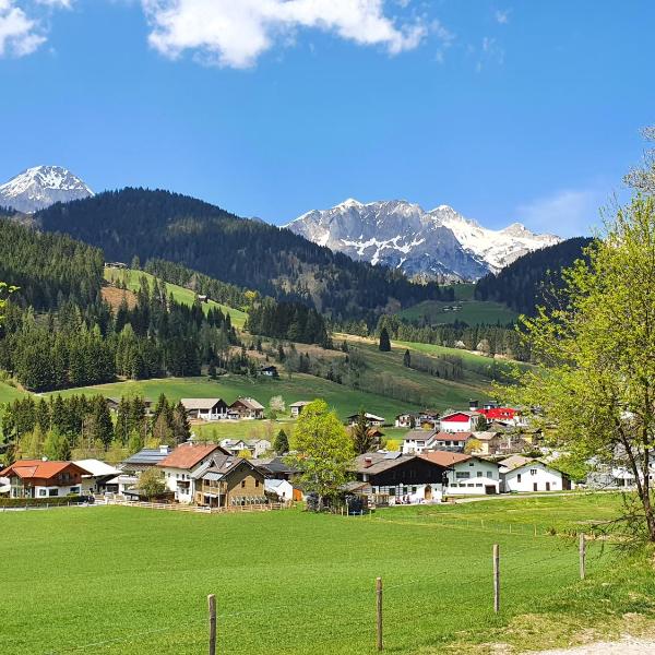 Boutique Hotel Alpenhof