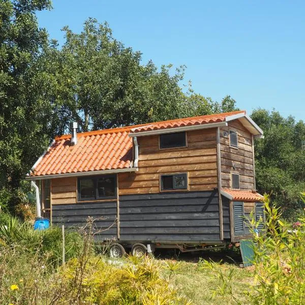 Tiny house eco resort, hotel in Estevais