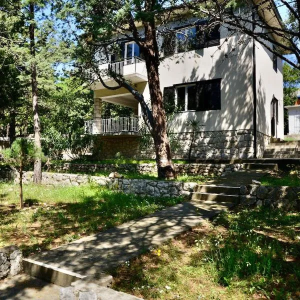 Vila Darinka, hôtel à Novi Vinodolski