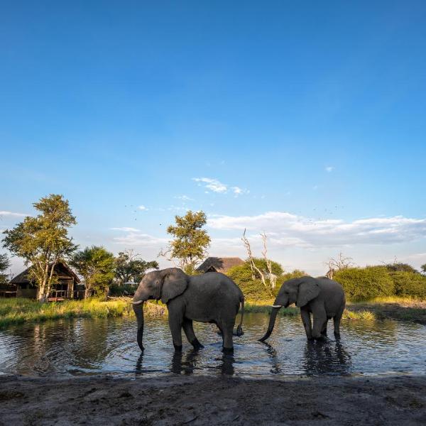 South Okavango - Omogolo Hideaways, Rammu