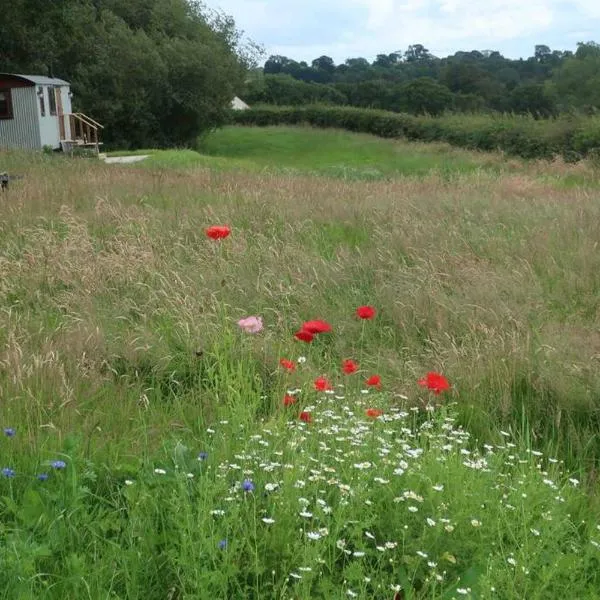 Little Idyll shepherds hut, hotel in Chester
