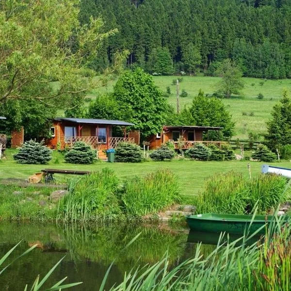 Stanica pod Zadzierną Kemping Domki letniskowe, khách sạn ở Lubawka